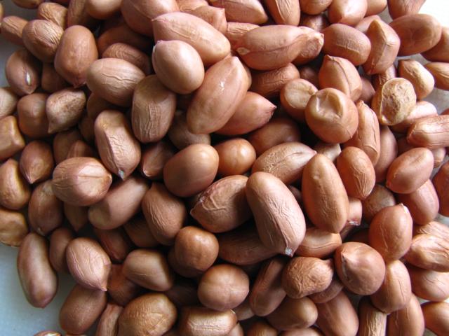 Organic Natural Peanut Kernels, Shelf Life : 6months