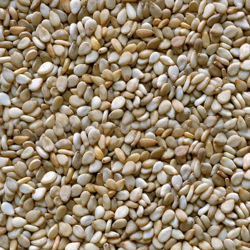 Organic Natural Sesame Seeds, for Making Oil, Purity : 99.99%