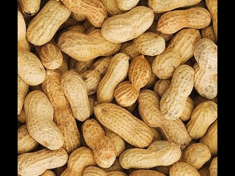 Organic Natural Shelled Peanuts, Shelf Life : 3-6months