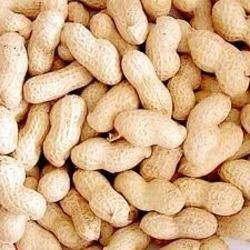 Organic Shelled Peanuts, for Making Oil, Making Snacks, Packaging Type : Jute Bag, Plastic Bag