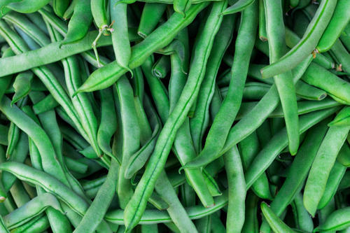 Fresh Cluster Beans, Feature : Good for Health