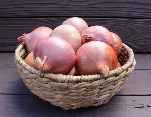 https://img1.exportersindia.com/product_images/bc-full/2019/3/6146711/fresh-pink-onion-1552474560-4786805.jpeg