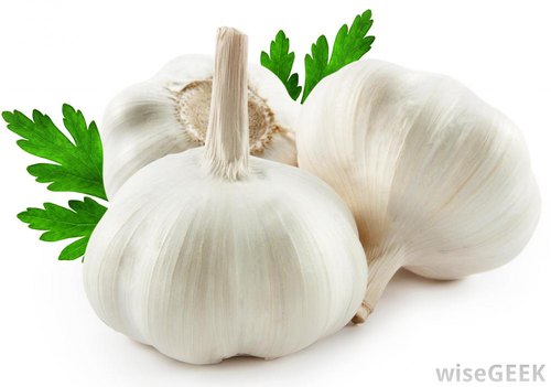 Organic Fresh Natural Garlic, Packaging Type : Gunny Bags, Plastic Bags