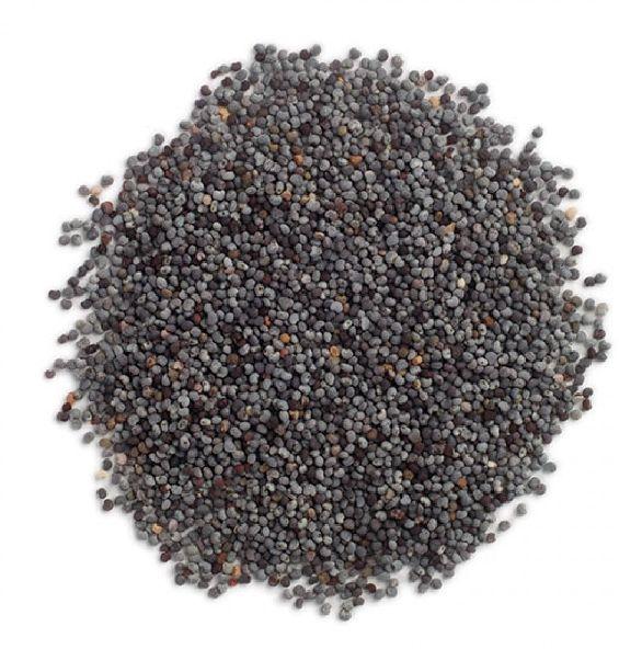 Organic Poppy Seeds, Packaging Type : Plastic Box, Plastic Packets