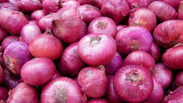 Organic Fresh Natural Onion, Packaging Type : Net Bag, Plastic Bag