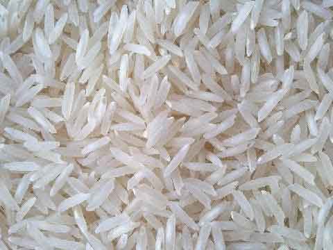 Organic Soft 1509 White Basmati Rice, Packaging Size : 10kg, 1kg, 20kg, 25kg