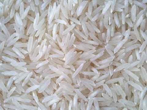 1509 White Basmati Rice