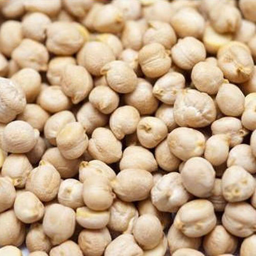 Kabuli Chickpeas, Color : White