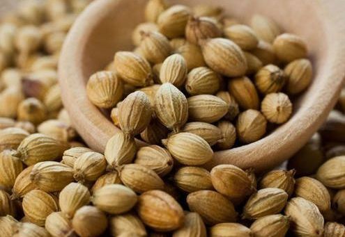 Dried Coriander Seeds