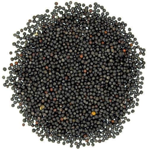 Indian Black Mustard Seeds