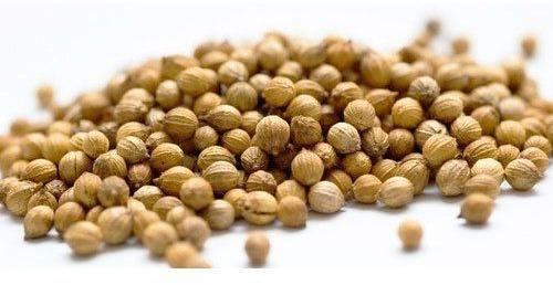 indian coriander seeds