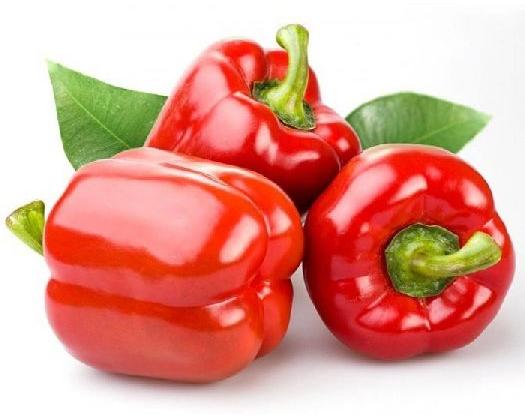 Natural Fresh Red Capsicum, for Cooking
