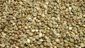 Grade 2 Coffee Beans
