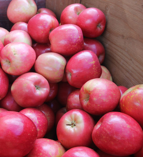 Organic Fresh Natural Apple