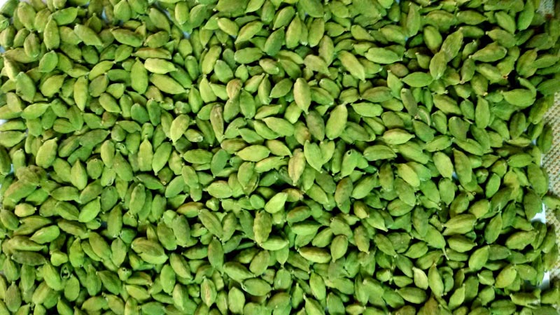 Natural Fresh Green Cardamom, Form : Solid