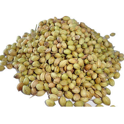 Natural coriander seeds, Certification : FSSAI