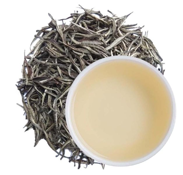 Organic White Tea, Packaging Type : Paper Box, Plastic Container