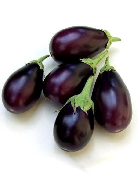 Organic Fresh Brinjal