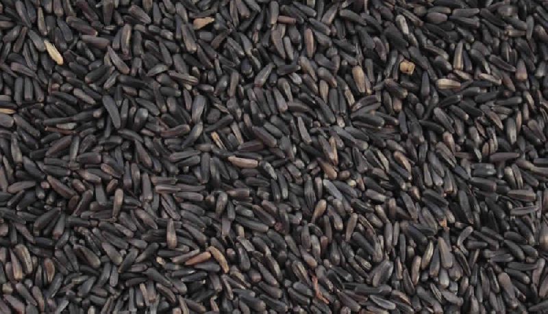 Niger Seed