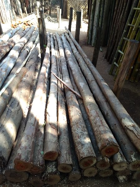neelagiri wooden poles