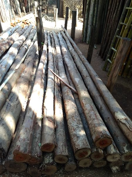 Natural neelagiri wooden poles, for Constructional, Industrial, Length : 10-20ft