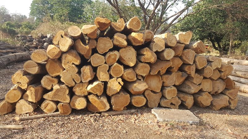 Round Valsadi Teak Wood, for Making Furniture, Door, Feature : High Strength, Termite Proof