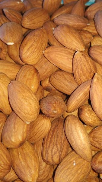 Common Almond, for 850, Packaging Type : 10kg, 20kg