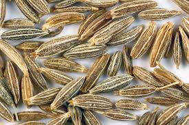 Cumin Seed, for Cooking, Feature : Healthy, Improves Digestion, Premium Quality