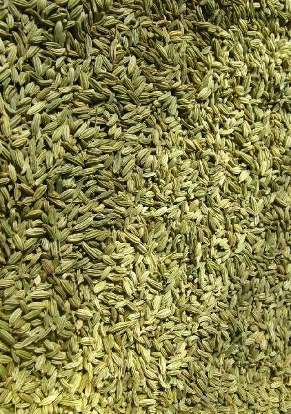 fennel seeds