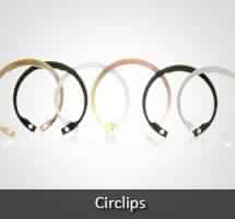 Circlips