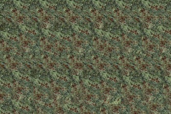 Shanthari Tropical Green Granite