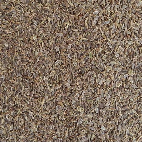 Dill Seeds, Color : DARK GREEN