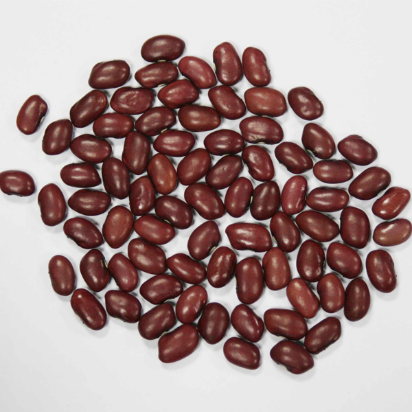 KIDNEY BEAN