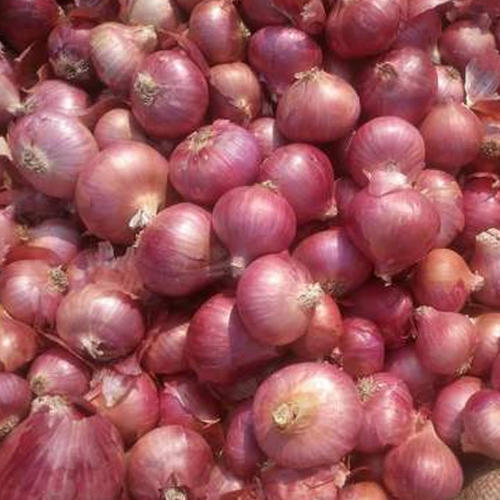 Organic Small Onion, for Enhance The Flavour, Human Consumption, Packaging Size : 25kg