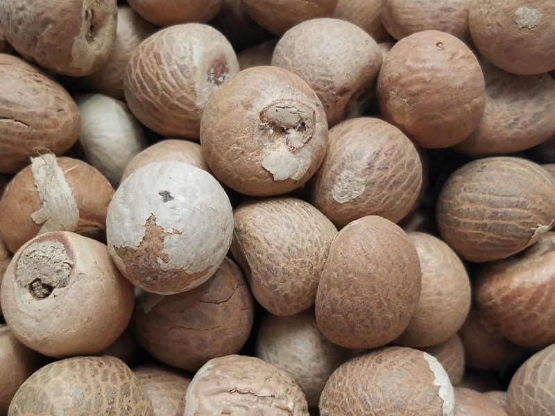 Round Organic Whole Betel Nuts, for Medicine, Color : Brown