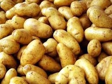 Common Potato, Style : Fresh