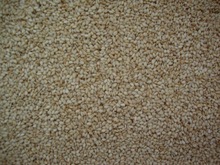 VIBGYOR sesame seeds