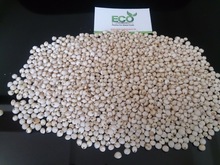 GMO White Sorghum, Style : Fresh