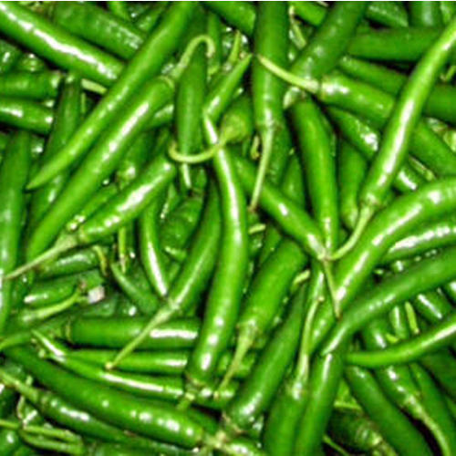 fresh green chilli