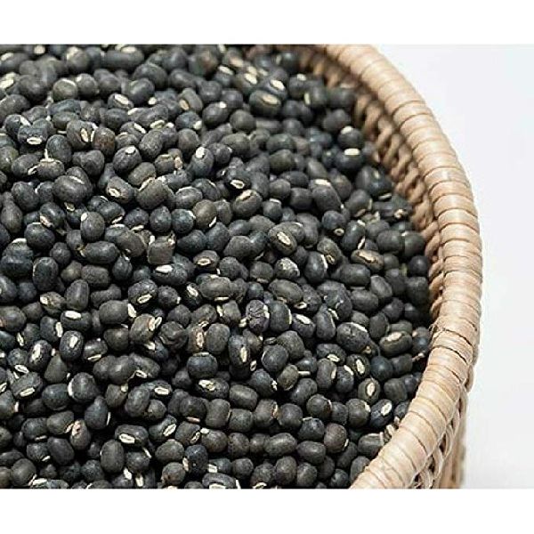Common Urad Beans, Color : Black