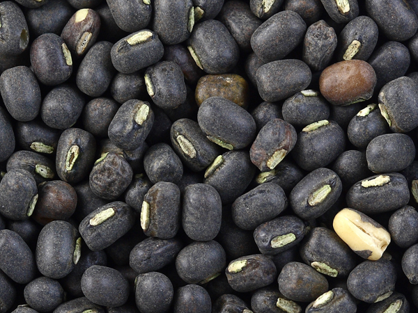 Organic Whole Black Gram, for Human Consumption, Feature : Highly Hygienic, Nutritious