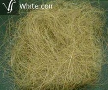 JKWHITE Coconut Husk Fibre white coir fiber, Pattern : Raw