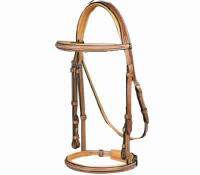 Horse Headstalls and Bridle