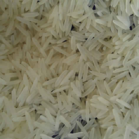 1121 white sella Rice