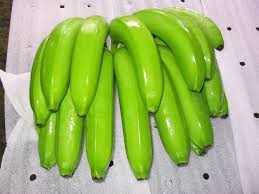 Common Cavendish Banana