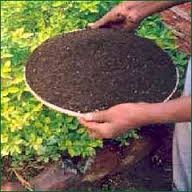 Vermicompost, for Organic Agriculture, Purity : 100% Natural