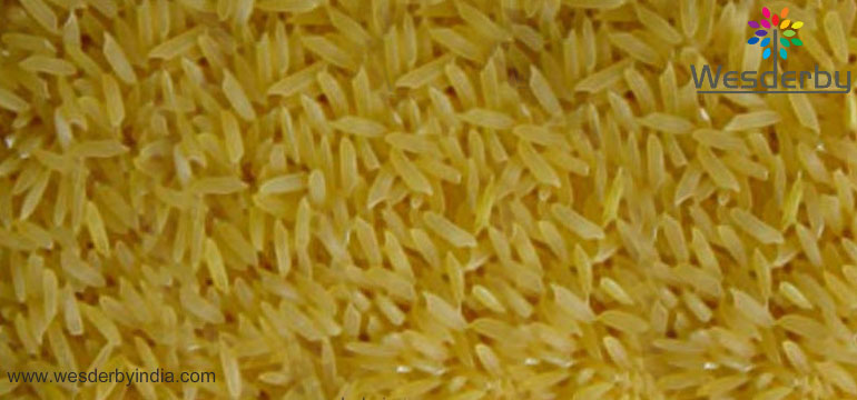 PR11 SELLA GOLDEN RICE