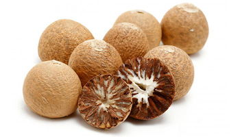 Common betel nut, Certification : Phytosanitary