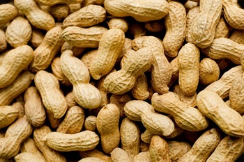 RP SPICES peanut, Certification : SGS