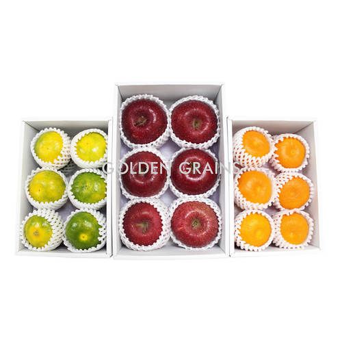 Supplier of Fresh Fruits, United Arab Emirates by Golden Grains